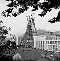 souvenirs en noir et blanc (175)